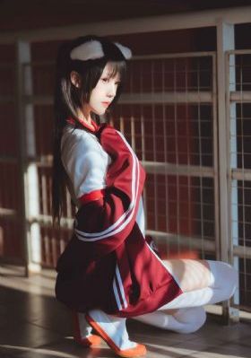 花房姑娘电视剧免费播放完整版