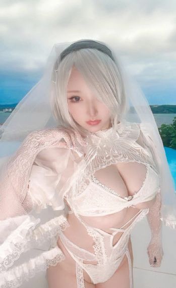 李卫当官1