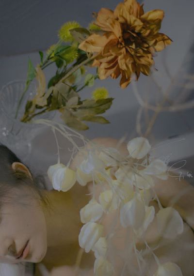 女人隐私免费看黄