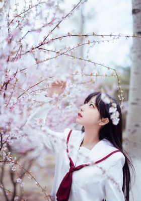 电影《相识》免费播放