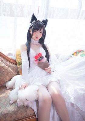 天行九歌之驭鼎九州